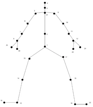 A body reduced to a skeleton of joints for privacy-preserving fall detection