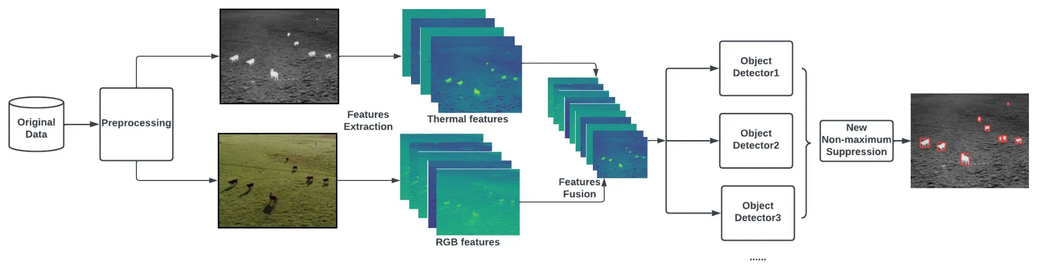 Thermal-RGB fusion detection framework diagram