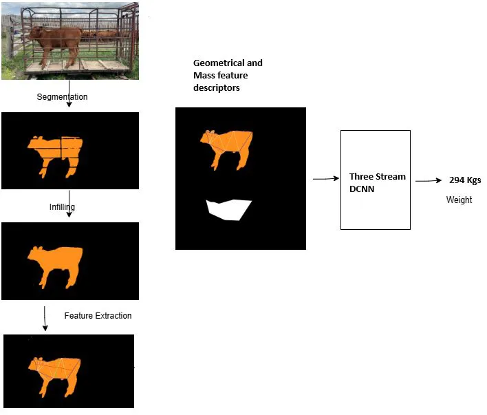 Weight prediction pipeline: segmentation, infill and feature extraction masks feeding a Three-Stream DCNN, output 294 kg
