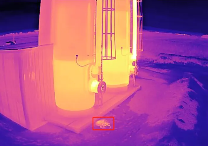 A thermal image where colour encodes temperature